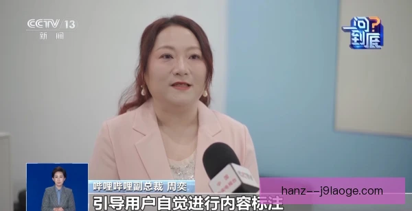 视频标注执行难度：标准统一与效率平衡挑战